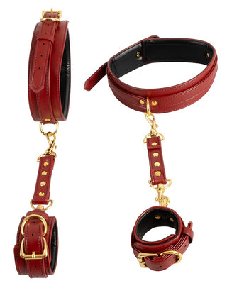 Hand & Lår Restraints