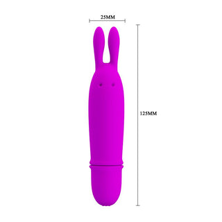 Boyce Minivibrator