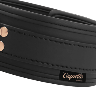 Halsband Med Koppel