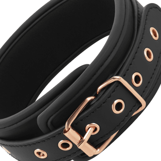 Halsband Med Koppel