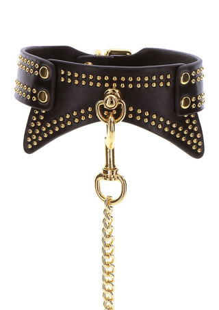 Halsband Med Guld Koppel
