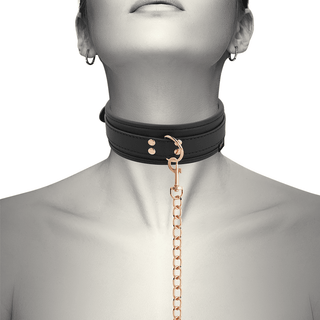 Halsband Med Koppel